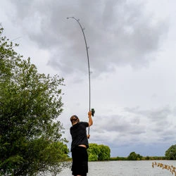 Fox Horizon X5 Black Rods 12ft
